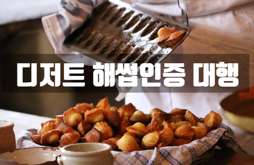 세움기술관리 이미지