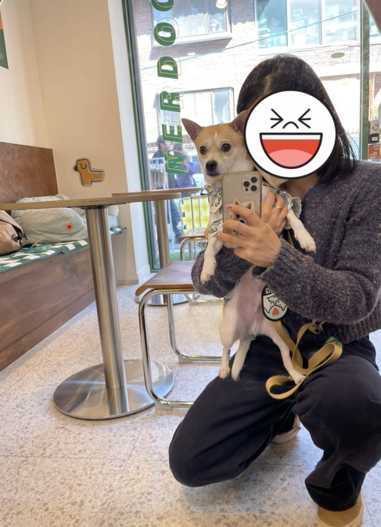널독(NERDOG) 이미지
