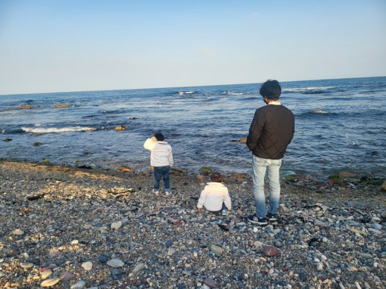 영덕고래불회 이미지