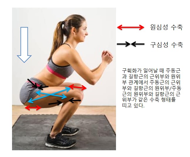 기능동작아카데미 이미지