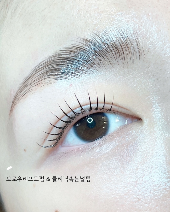 모숲 이미지