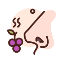 엠아로마 이미지