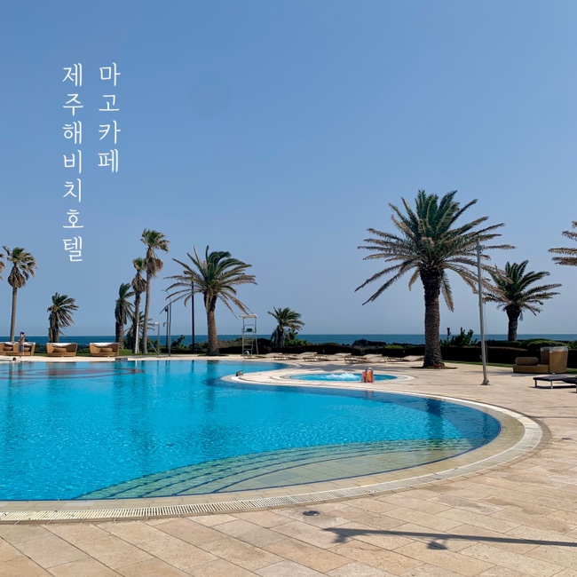 해비치 빈 이미지