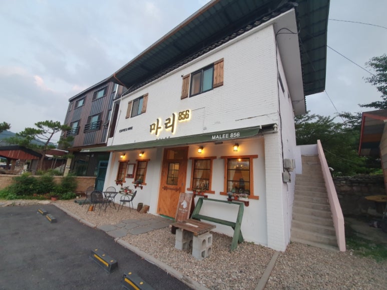 마리856 이미지