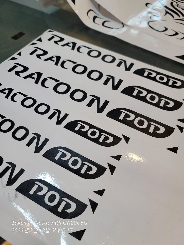 라쿤(Racoon) 이미지
