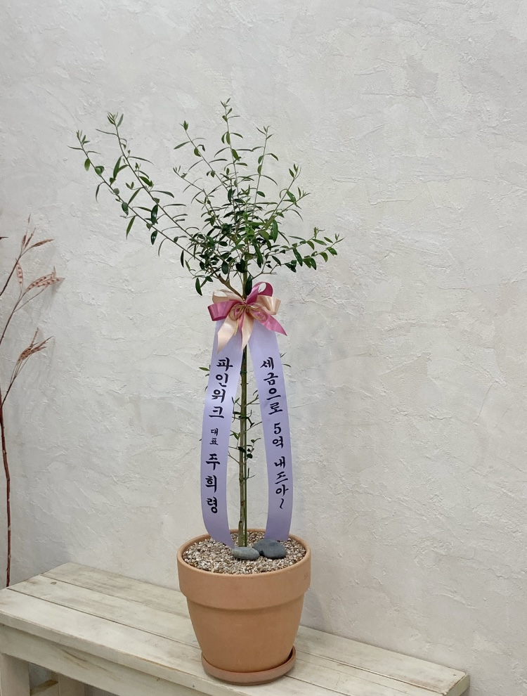 파인위크 경산점 이미지