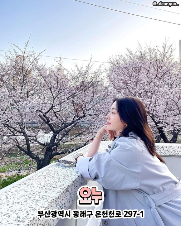 카페오누 이미지