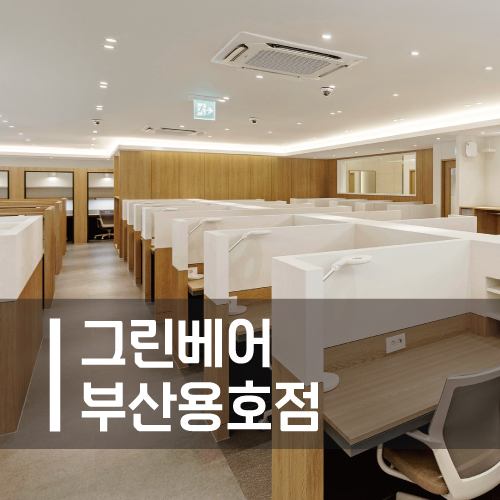 그린베어용호스터디카페 이미지