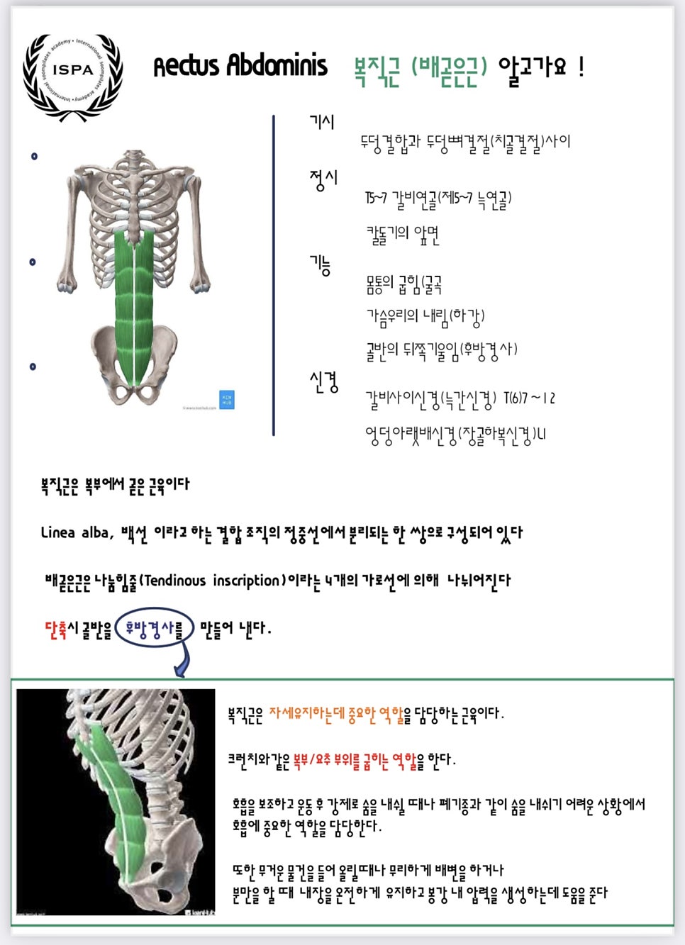 운동처방협회 이미지