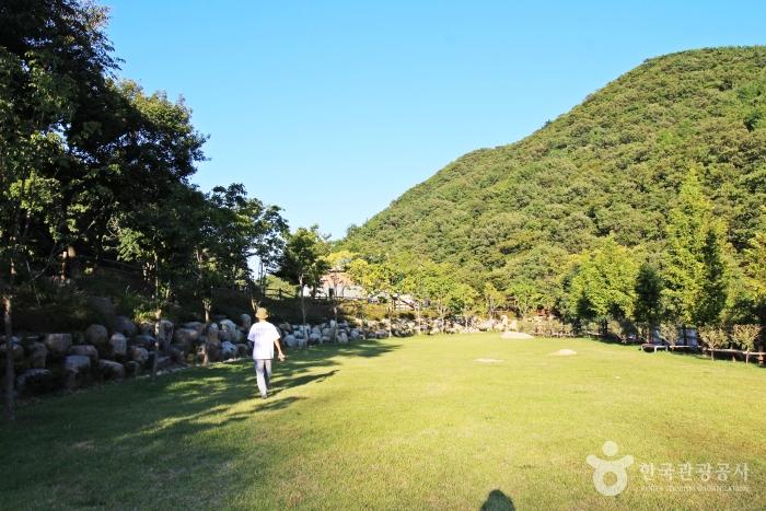 대운산매점 이미지