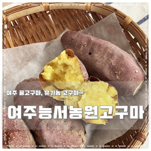 여주능서농원 이미지