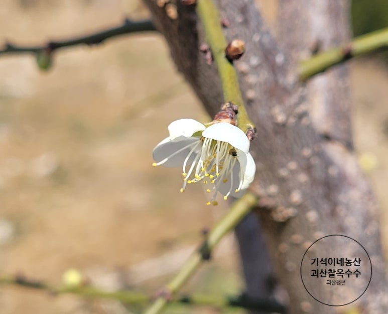 청천농산 이미지