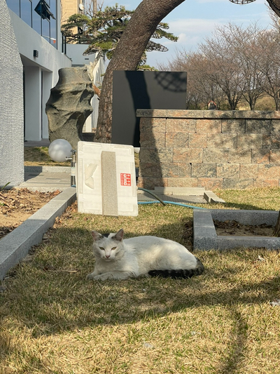 남마뮤지엄 이미지