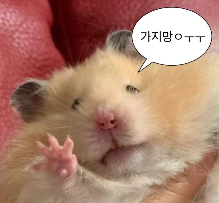 홍라드 3호점 이미지