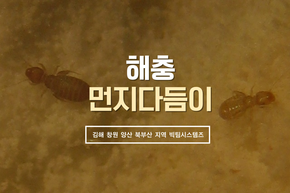 종도건어물 이미지