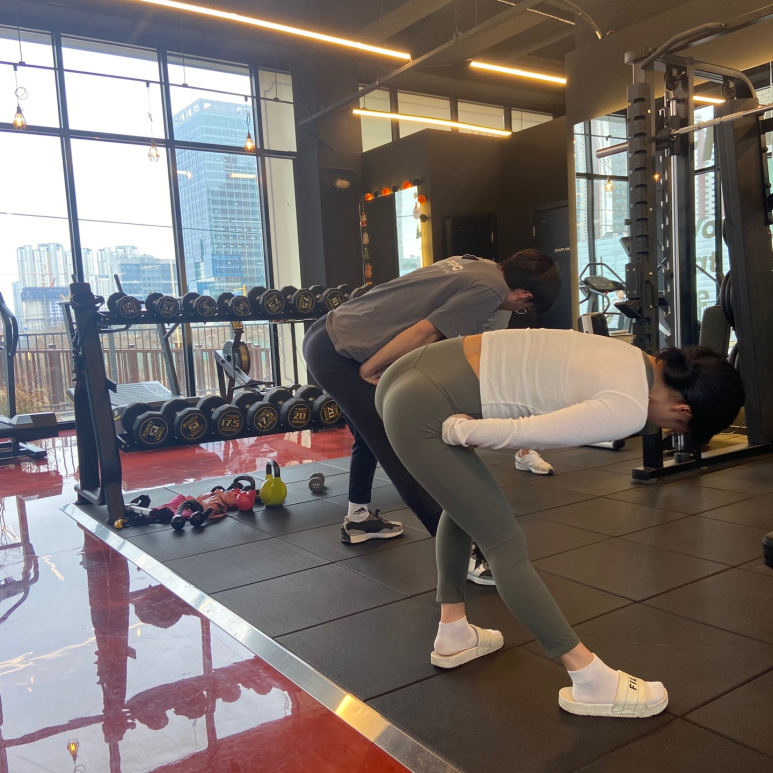 프로핏97 이미지