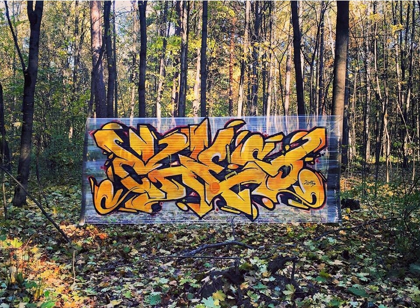 체스(CHES) 이미지