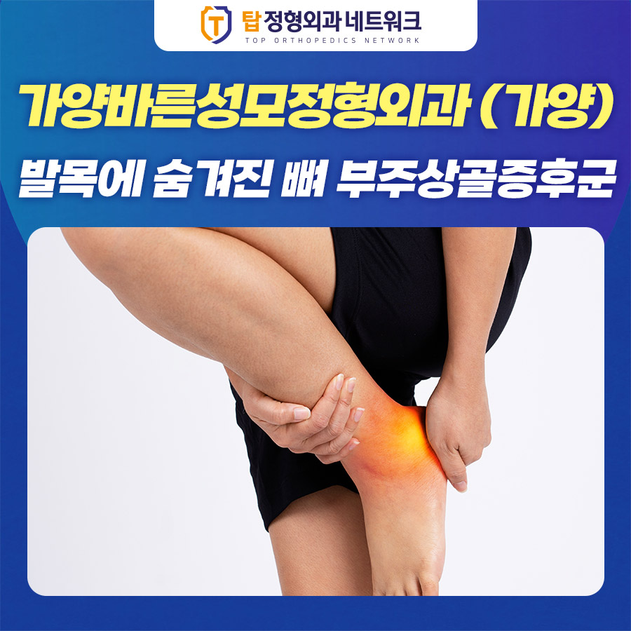 가양성모의원 이미지