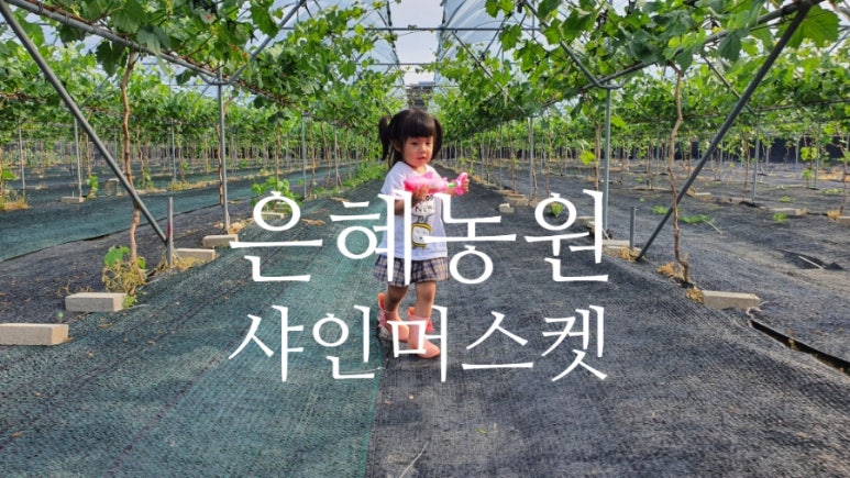 은혜농원 이미지