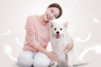 피씨에이치 이미지