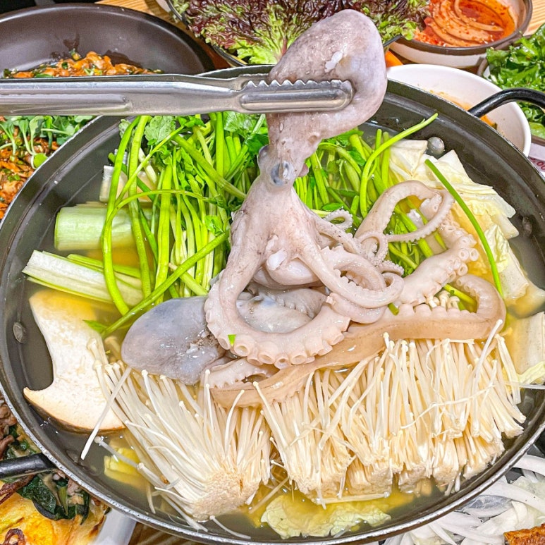 힘찬낙지 이미지