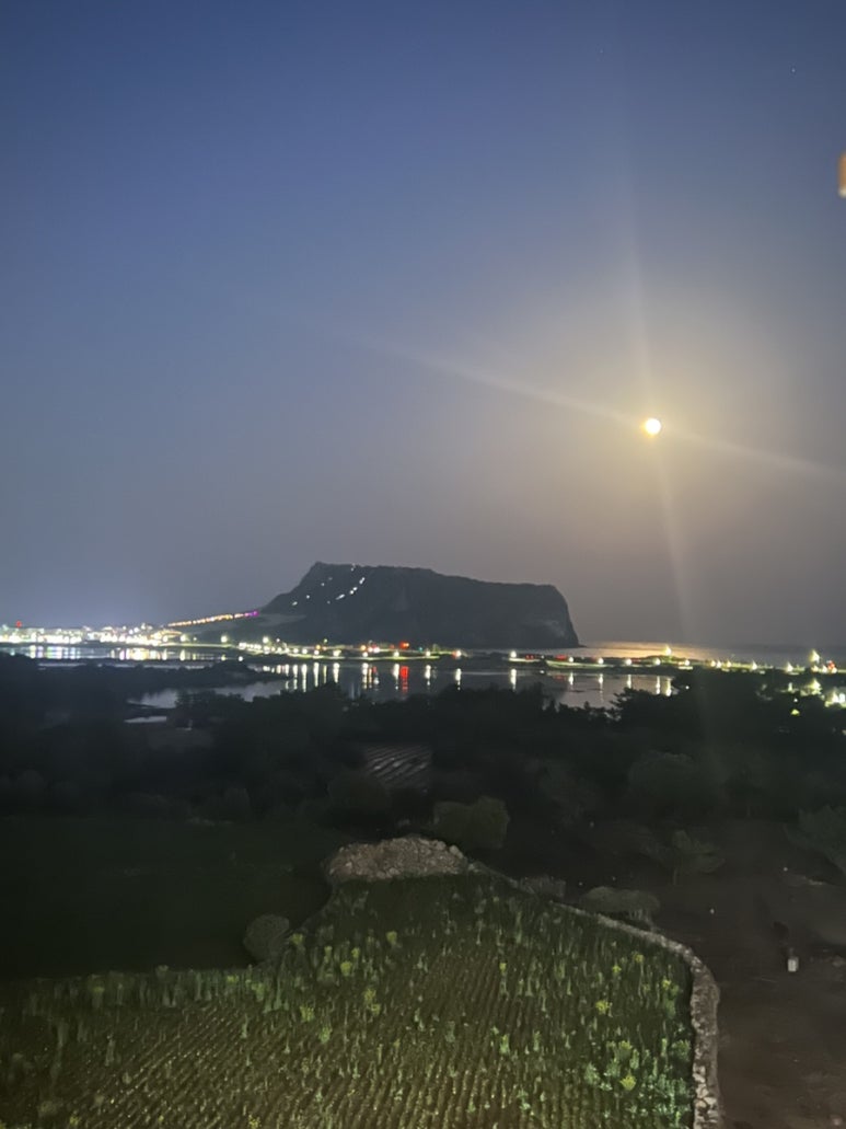 유탑스시 이미지