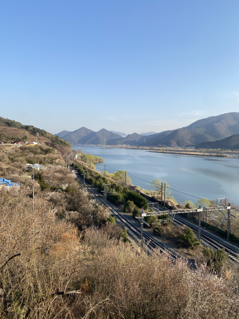 전망좋은미나리삼겹살 이미지