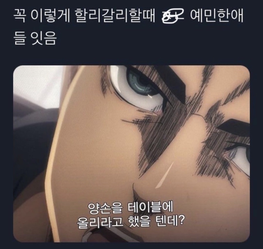 티클 이미지