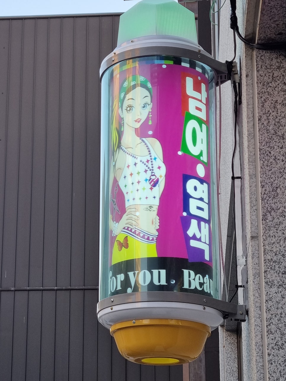 큐사랑대전 이미지