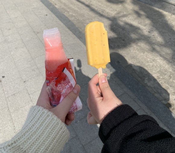 갸늬 이미지