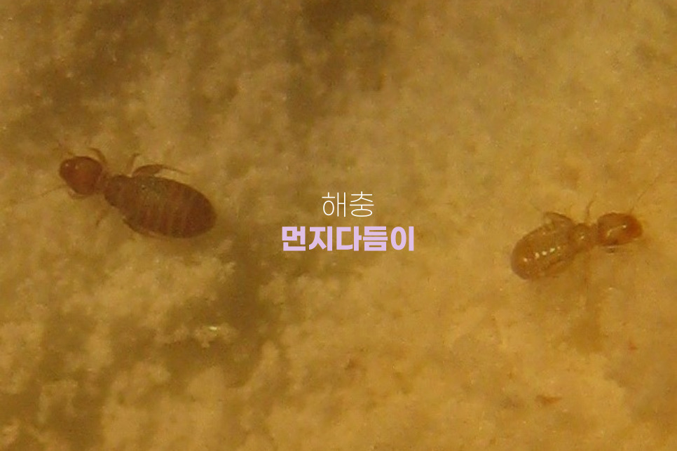 종도건어물 이미지