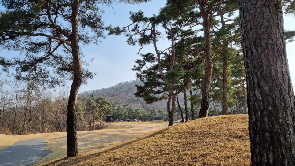 호박휴게실 이미지