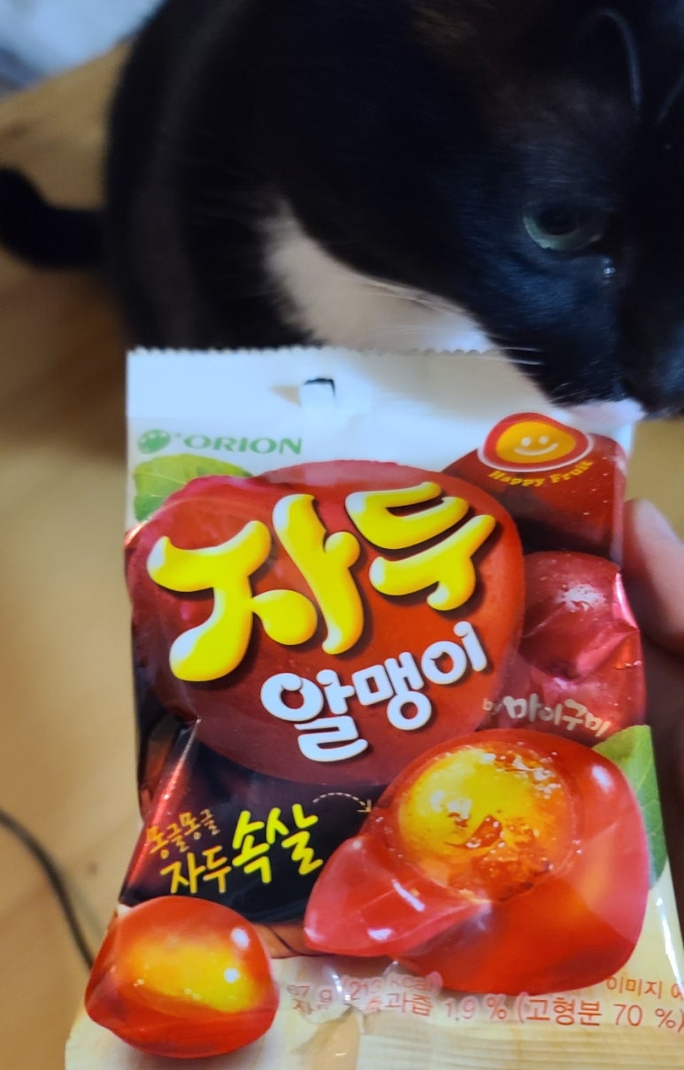 강김밥집 이미지