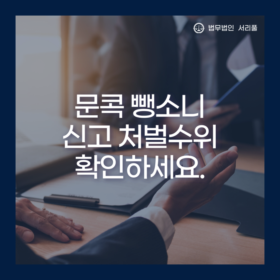 법무법인서리풀 이미지