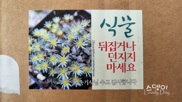 위드다이앤 이미지