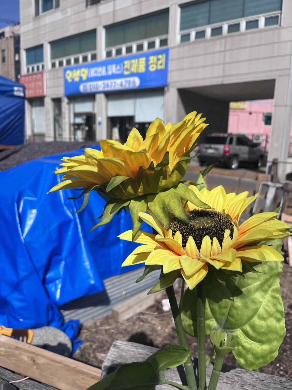 중앙만두 이미지