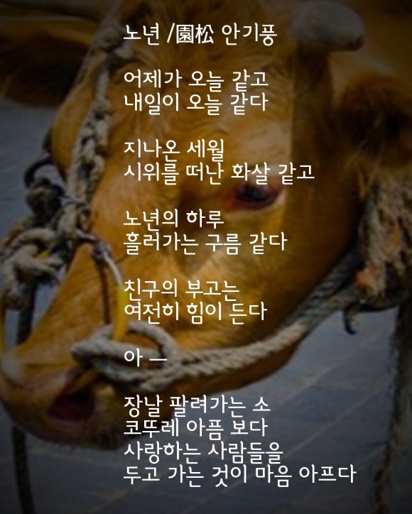 원송문학회 이미지