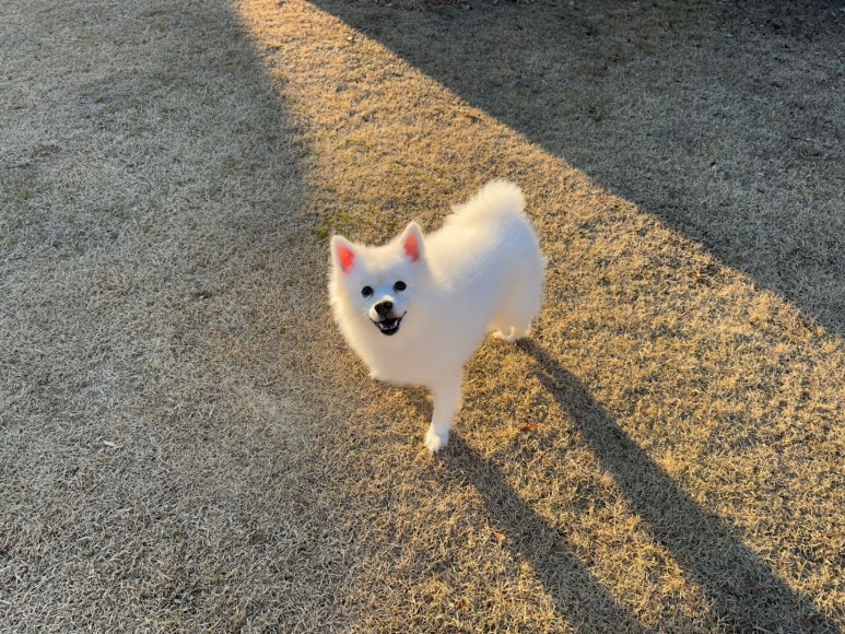 원평마을회관 이미지