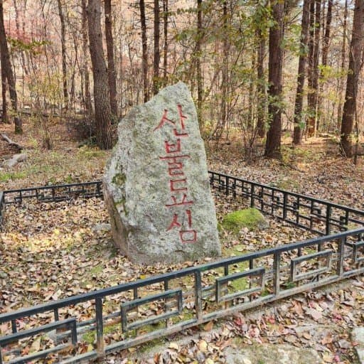 코히 이미지