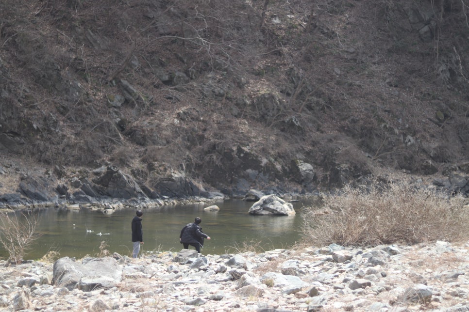 신태평고을정육식당 이미지