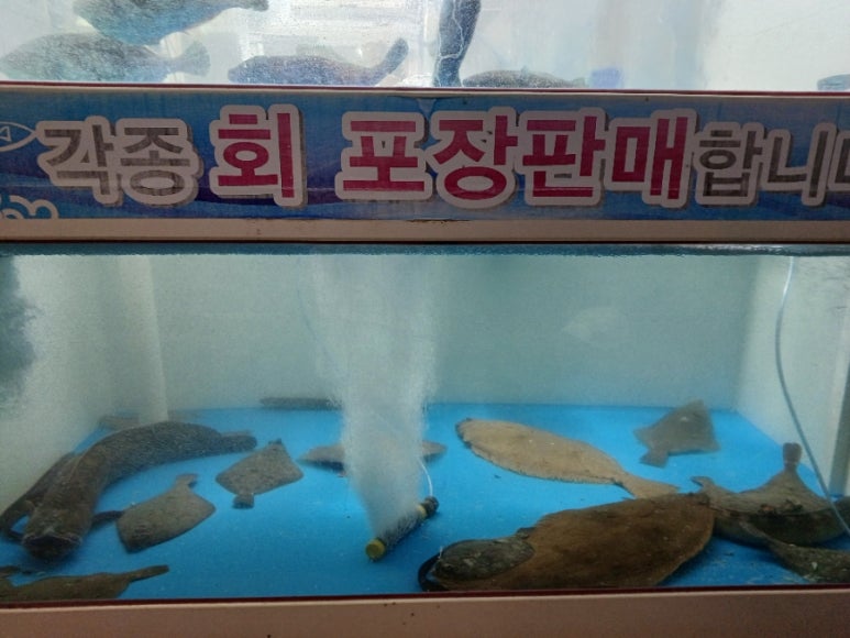자주바위횟집 이미지