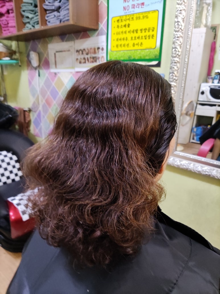엘샤론염색 이미지