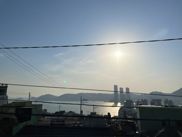 썬플라워하우스 이미지
