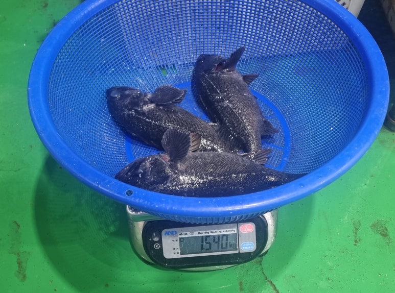 돌산수산 이미지