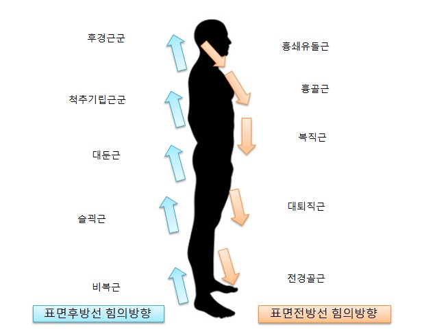 기능동작아카데미 이미지