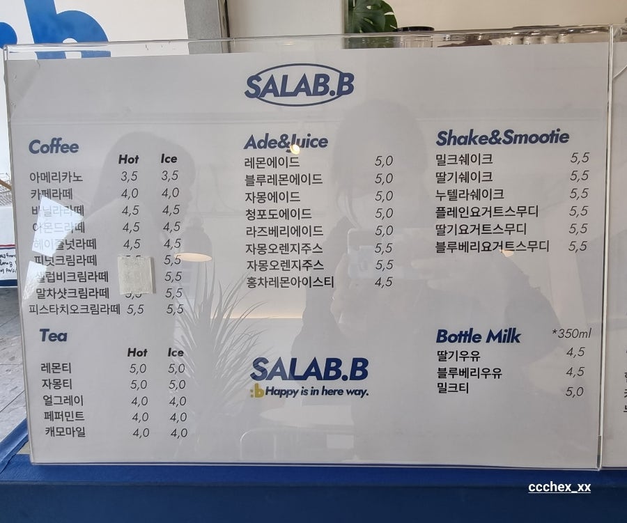 비샐럽 이미지