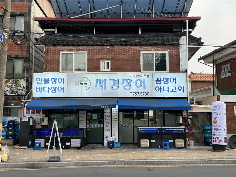 망경장어 이미지