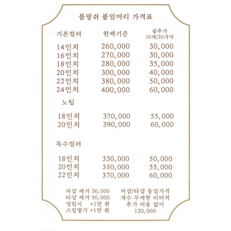 블랑쉬붙임머리 이미지