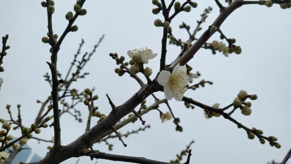 세컨드브레인 이미지