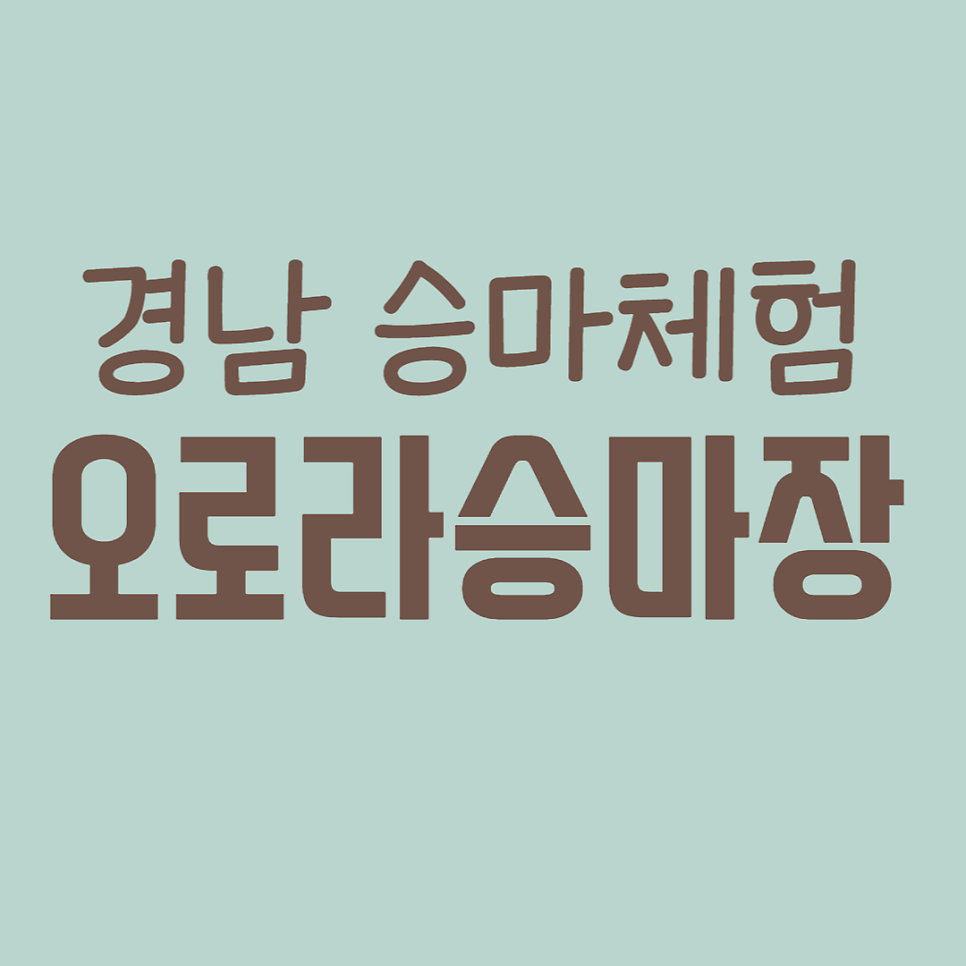 오로라승마장 이미지